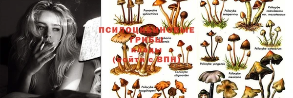 прущая мука Волоколамск